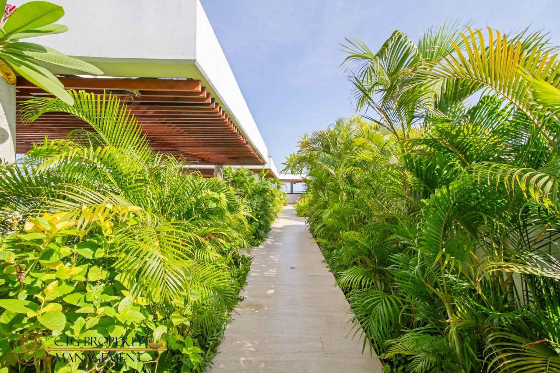 Martinique Cartagena - Apartamentos A Corta Caminata De Playa Azul Екстериор снимка